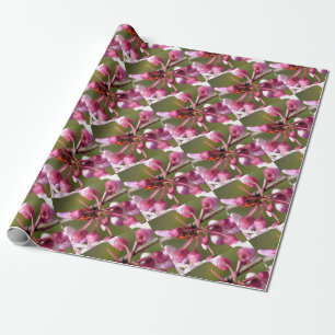 Flowering Redbud with Ladybug Wrapping Paper