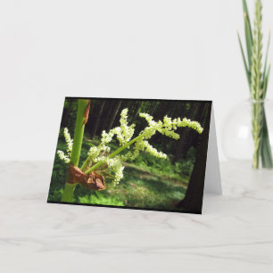 Flowering Rhubarb Stalks Blank Card