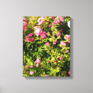 Flowering Rosarium Canvas Print