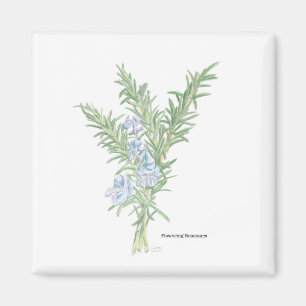 Flowering Rosemary Magnet