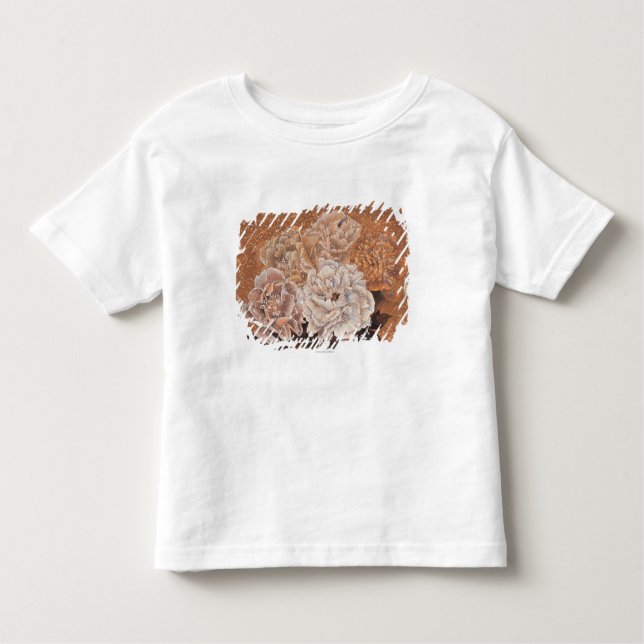 Flowering Shrubs Toddler T-Shirt (Front)