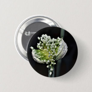 Flowering Spring Onion 6 Cm Round Badge