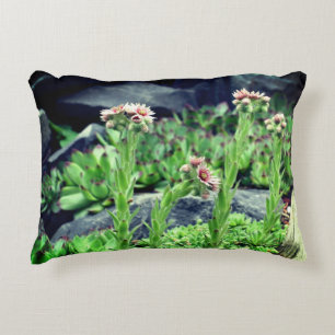 Flowering Succulents   Decorative Cushion