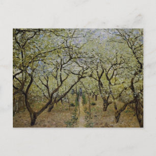 Flowering Trees Postcard