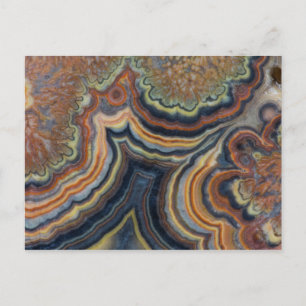 Flowering tube onyx postcard