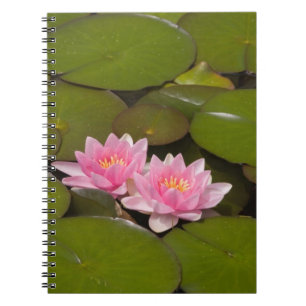 Flowering water lilies spiral notebook
