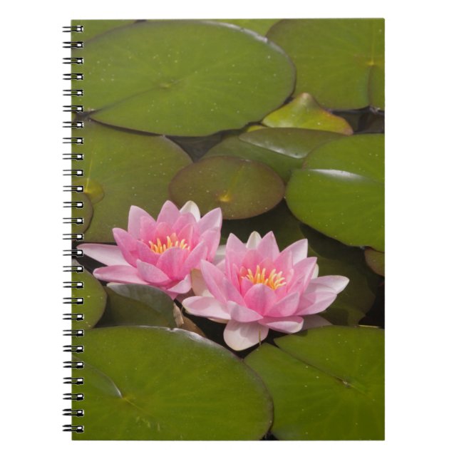 Flowering water lilies spiral notebook (Front)