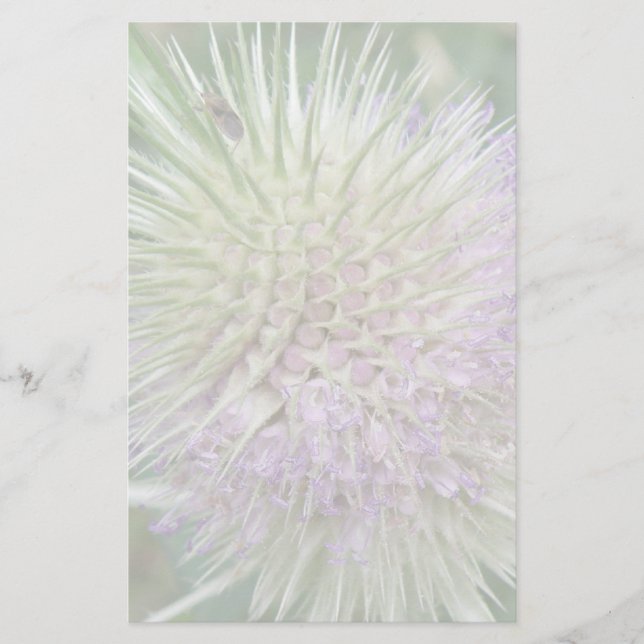 Flowering Wild Grass Stationery (Front)