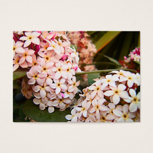 Flowers (Front)