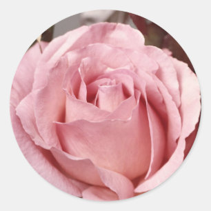 Flowers 137 classic round sticker