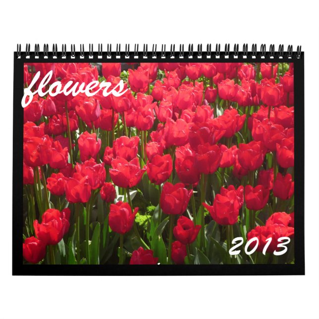 flowers 2013 calendar (Cover)