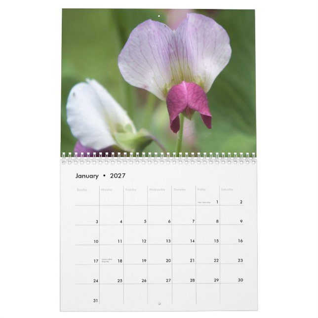 FLOWERS 2013 CALENDAR (16 MONTHS) (Jan 2027)