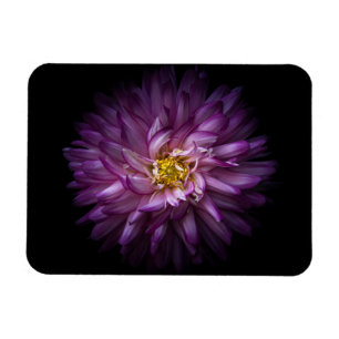 Flowers 20 magnet