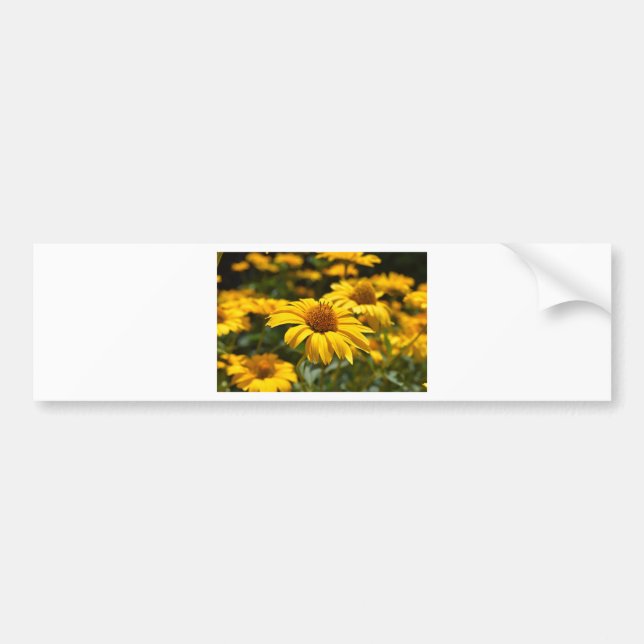flowers-2824808 bumper sticker (Front)