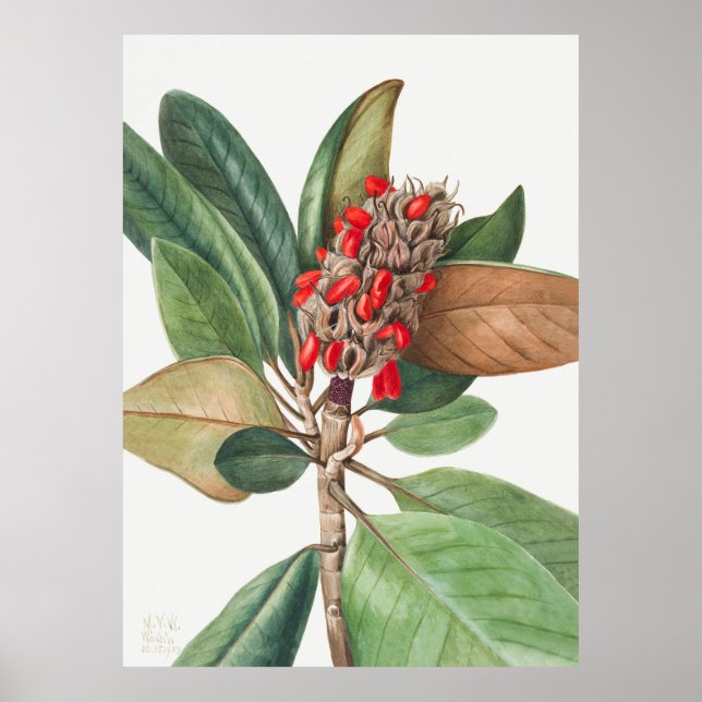 Flowers 2 poster (Front)