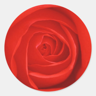 Flowers 55 classic round sticker