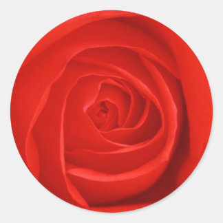 Flowers 55 classic round sticker