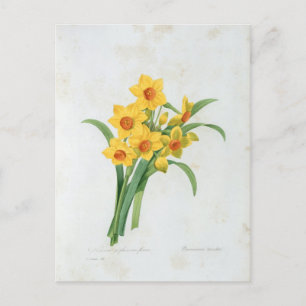 Flowers 5 Postcard