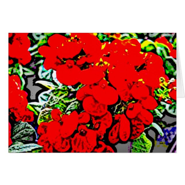 Flowers 6 (Front Horizontal)