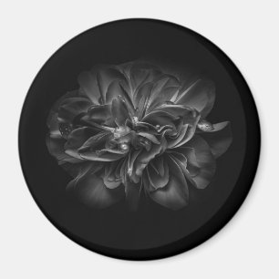 Flowers 67 BW Magnet