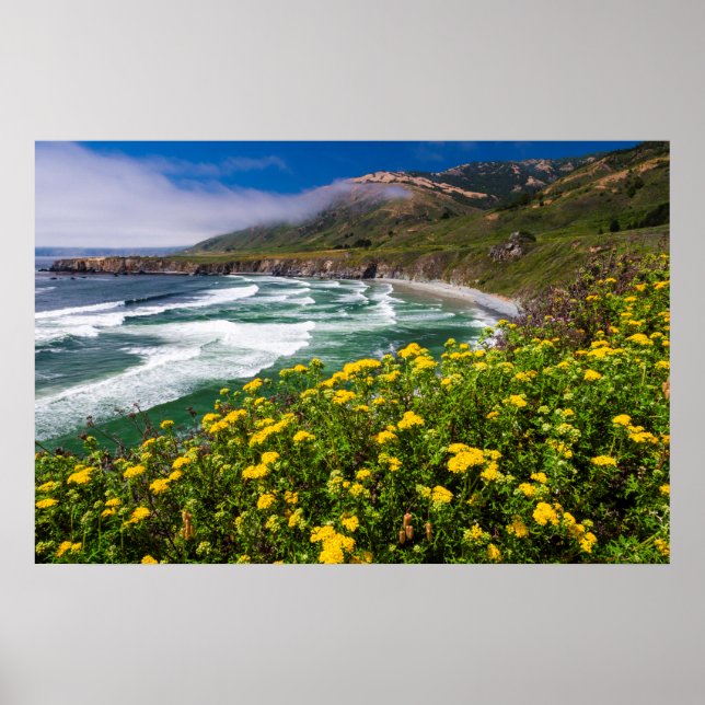 Flowers Above Sand Dollar Beach Poster (Front)