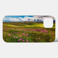 Flowers | Altai Mountains, Siberia, Russia