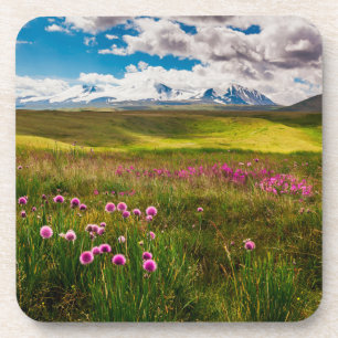 Flowers   Altai Mountains, Siberia, Russia Coaster