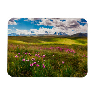 Flowers Altai Mountains, Siberia, Russia Magnet