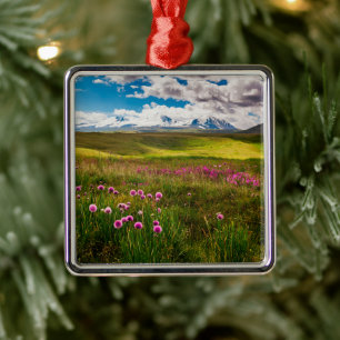 Flowers Altai Mountains, Siberia, Russia Metal Tree Decoration