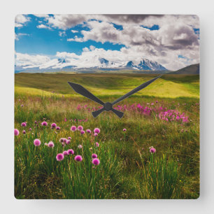 Flowers Altai Mountains, Siberia, Russia Square Wall Clock