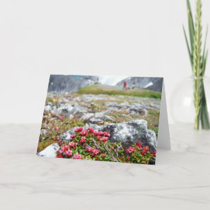 Flowers among Rocks Card