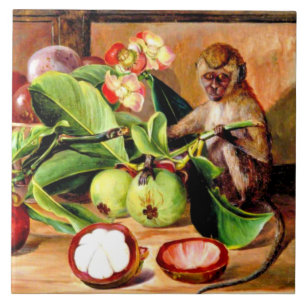 Flowers and fruit of Mangosteen; Singapore Monkey Tile