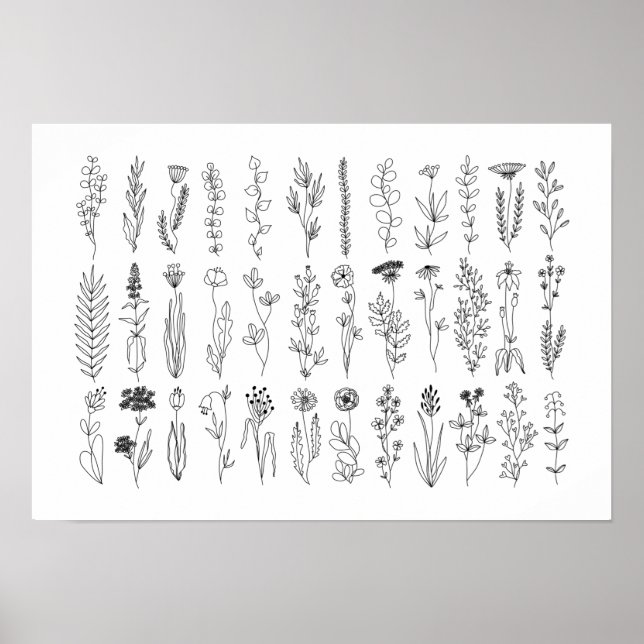 Flowers And Herbs Ink Drawing Poster (Front)