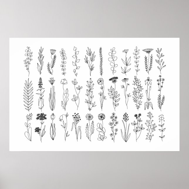 Flowers And Herbs Ink Drawing Poster (Front)