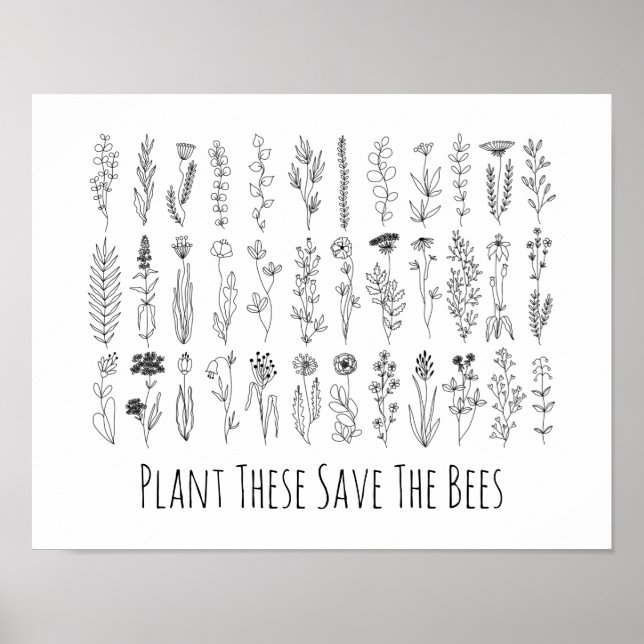 Flowers And Herbs Ink Drawing Poster (Front)