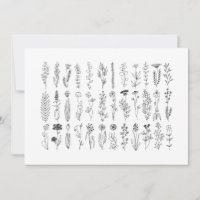 Flowers And Herbs Ink Drawing
