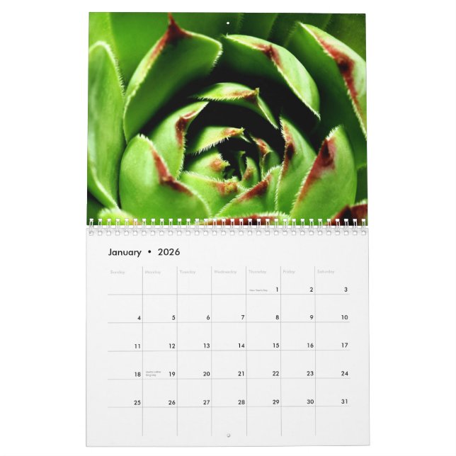 Flowers and Insects Calendar (Jan 2026)