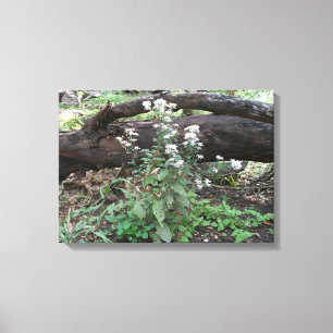 Flowers and Log Canvas Wrapped Print