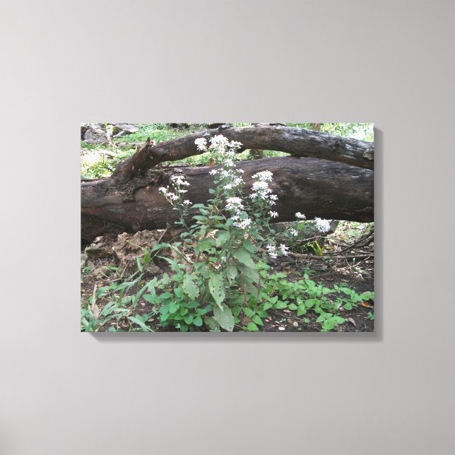 Flowers and Log Canvas Wrapped Print (Front)
