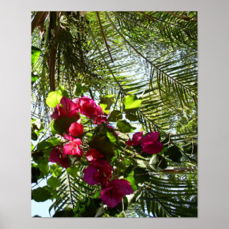 Flowers and Palm Tree Poster