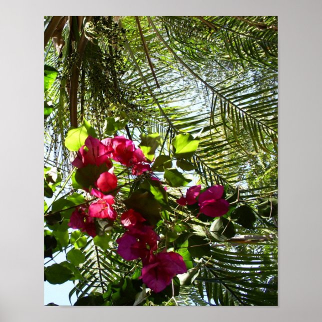 Flowers and Palm Tree Poster (Front)