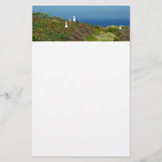 Flowers and Seagulls on Anacapa Island Stationery