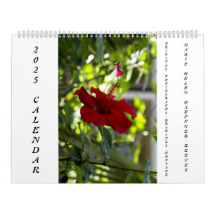 FLOWERS AND SHADOW FAIRIES 2025 CALENDAR