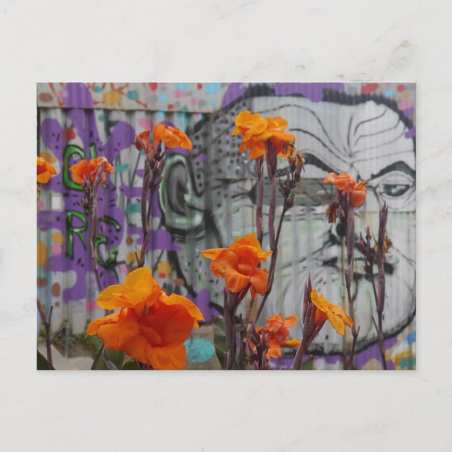 Flowers and Street Art in Valparaiso, Chile Postcard (Front)