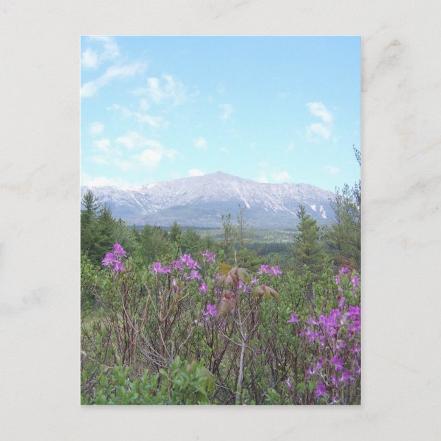 Flowers and the Mountain Postcard (Front)