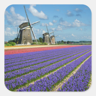 Flowers and windmills photo sticker