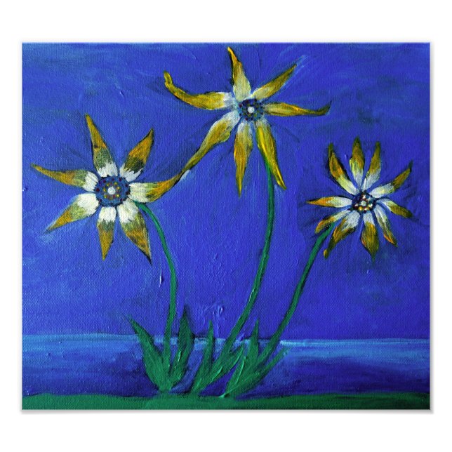 Flowers Art , Kodak Professional Photo (Front)