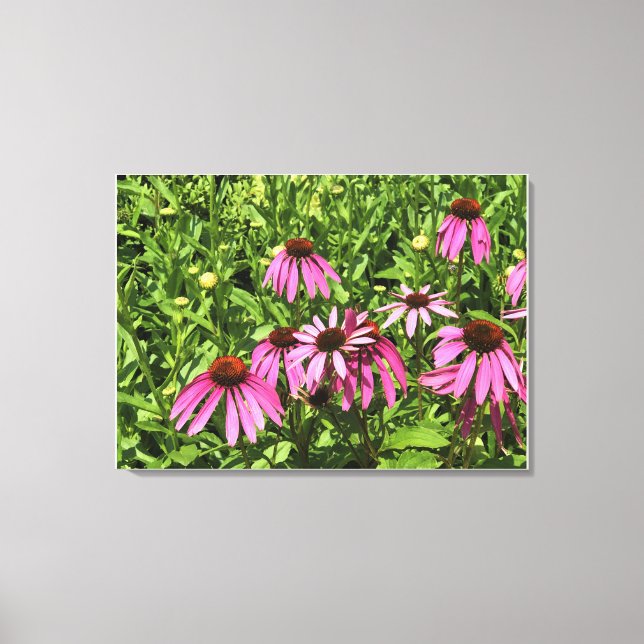 Flowers at Chateau Morrisette Winery, Floyd, VA Canvas Print (Front)