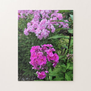 Flowers at Chateau Morrisette Winery, Floyd, VA Jigsaw Puzzle