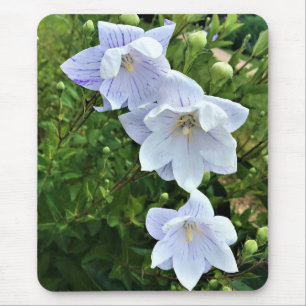 Flowers at Chateau Morrisette Winery, Floyd, VA Mouse Pad
